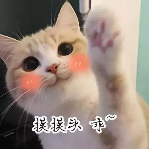 哪种猫咪最温顺好养（了解十大温顺的猫咪排名）